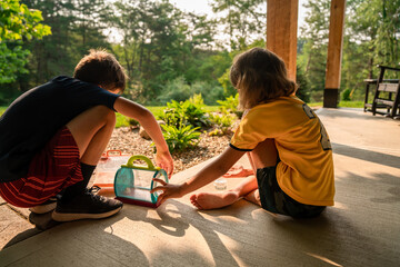 Children catching insects with a cage outdoors during summer