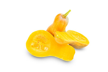 Autumn harvest of pumpkins, pumpkins on a white background