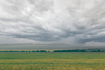 Green field with forest belt blur in motion, against the background of a rain cloud