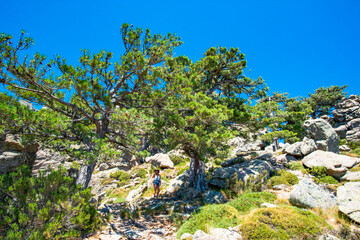 Wandern und Klettern entlang des GR20 in Korsika