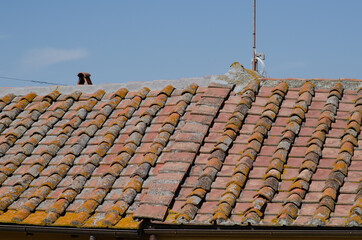 House: detail of the pitched roof with brick tiles, visible the upper pitch line and the ridge tiles and the rain drainage gutter.
