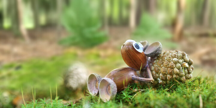 im Wald liegen im Herbst