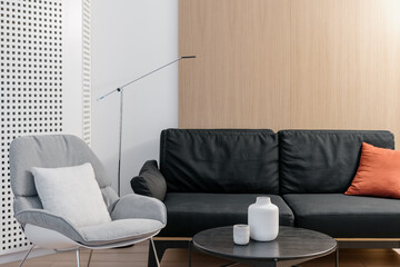 Living room interior with sofa, home design.