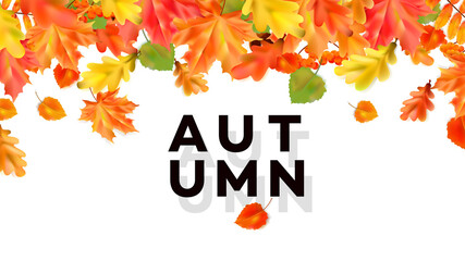 Autumn sale. Colorful vector flyer.