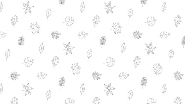 Black thin line icons of a random tree leaves on a white background. Seamless loop motion graphic pattern with animated leaves in geometric grid
