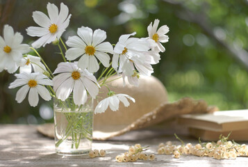 Beautuful bouquet of white cosmos in a glass, a little white currant, straw hat and books on a table top against the blurred green of the summer garden