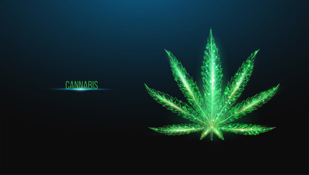 Cannabis leaf. Low poly wireframe style. The concept of medical use of marijuana, alternative treatment. Abstract modern 3d vector illustration on dark blue background.