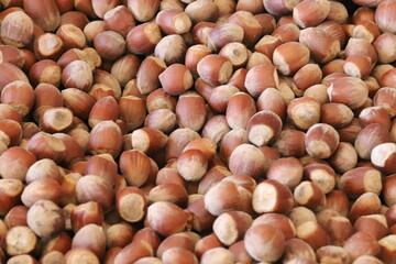 hazelnuts close up