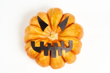 Halloween Pumpkin on a white background with copy space
