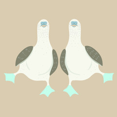 Vector Illustration Of Blue-Footed Boobies Bird - 458563451