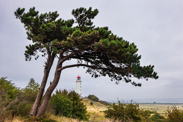 Der Leuchtturm Dornbusch auf der Insel Hiddensee