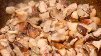 The boletus is fried in a pan. Cooking porcini mushrooms in a frying pan close-up view. delicious and fresh porcini mushrooms are cooking