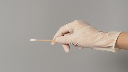 Cotton stick for swab test in hand with white medical gloves on grey background.