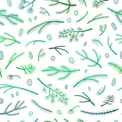 Seamless pattern with coniferous branches and cones.