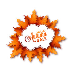 Hello autumn sale illustration of fall leaves of background texture