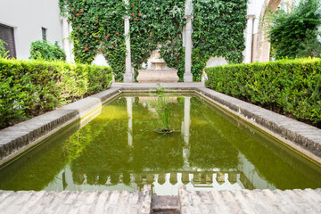 Perspective of the beautiful water basin in a patio of the Seville Alcazar (meaning: fortress),...