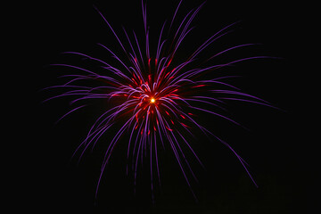 fireworks in the night sky