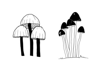 Hand Drawn Vector Mushrooms. Magic Mushroom Clipart