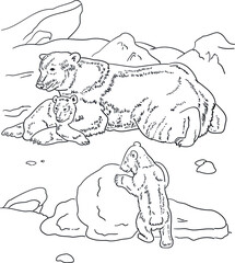 children's coloring polar bears and cubs