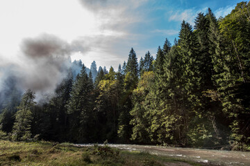 Vaserului Valley, Maramures, Romania 18