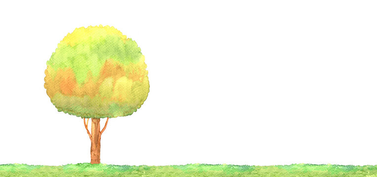 tree watercolor on white background, copy space, illustration tree watercolor hand drawn on white space for banner background
