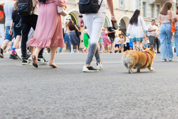 Blurred background people going on pavement noface.