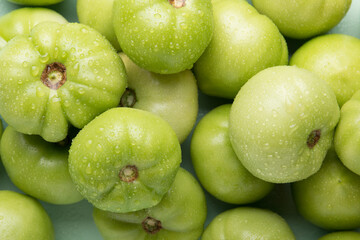 Green tomatoes for conservation. Unripe tomatoes for harvesting.