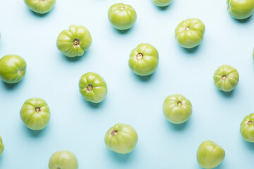 Green tomatoes for conservation on a blue background. Unripe tomatoes for harvesting.