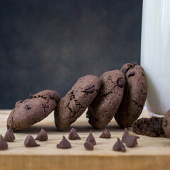 chocolate cookies with white background selective focus