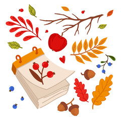 Cozy autumn elements. Loose-leaf calendar. Forest elements