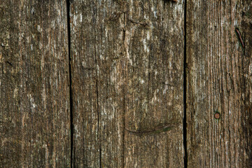 Vintage brown wood background texture with knots and nail holes. Old painted wood wall.