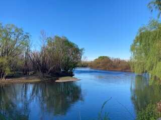 trees and river