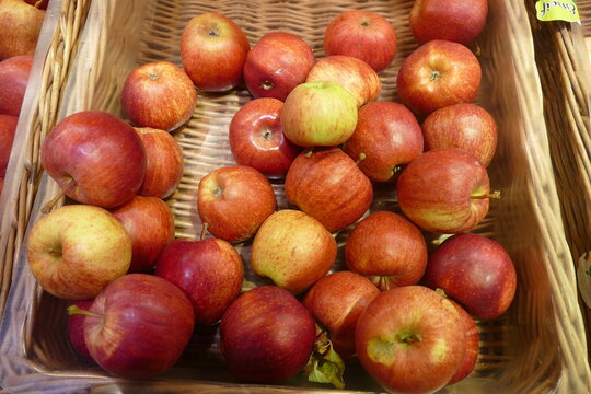 Fresh authentic red apples in basket. Gala Royal in yellow and red. Autumn. 