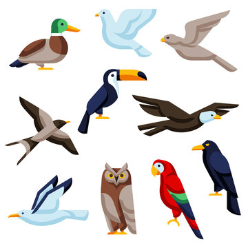 Set of stylized birds. Image of wild birds in simple style.