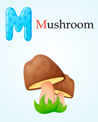 Kids banner with english alphabet letter M and cartoon image of forest porcini mushroom in the grass.