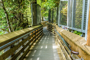 Lower Falls Walkway 3
