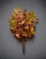 Autumn mushrooms on a photophone with leaves.