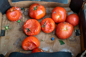 rotten red tomatoes. waste from the store