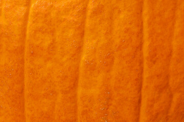 close up of orange peel of pumpkin