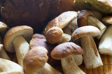 collected mushrooms on the table surface. Forest mushrooms