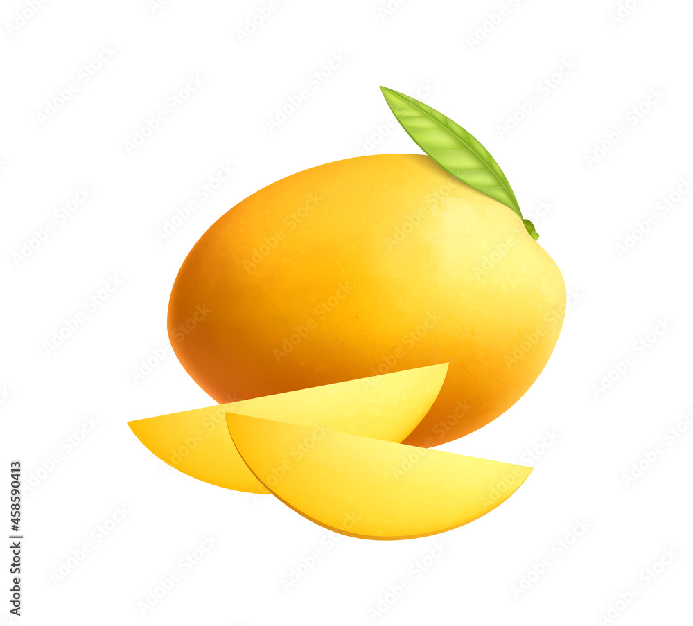 Wall mural Mango Realistic Illustration