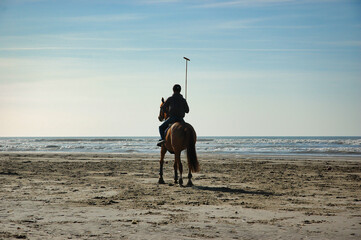 Polo Spieler auf Pferd am Strand von Le Touquet / Nordfrankreich / Pas de Calais