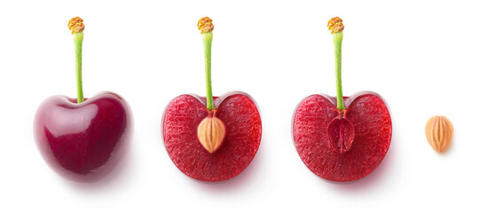 Cherry fruit halves and a pit in a row, flat lay isolated on white background
 - obrazy, fototapety, plakaty