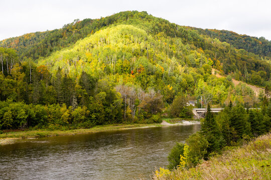 The Matapedia River at the foot of Chic-Chocs mountains covered in mixed trees seen during the early fall during a cloudy day, Quebec, Canada