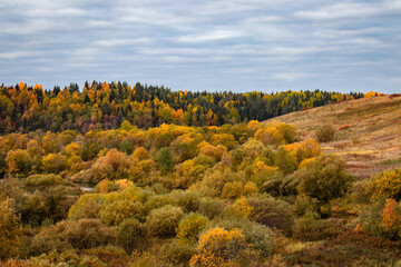 Naklejka premium View of the hill overgrown with forest with autumn color of leaves.