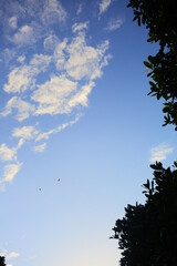 sky and clouds