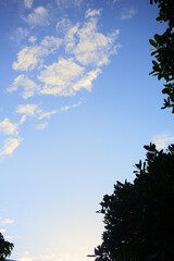 Obraz premium sky and clouds