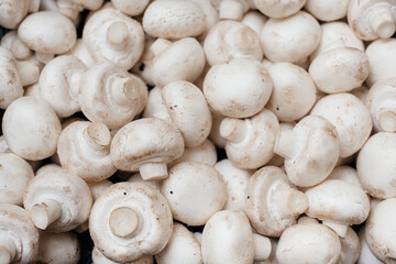 Ripe fresh mushrooms in a box in the warehouse after assembling a close-up.