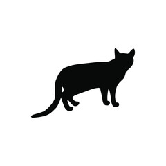 Cat icon vector. pet illustration sign. tomcat symbol. animal logo.