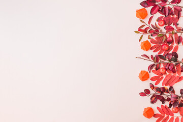 Flat lay frame with colorful autumn leaves and small red apples on a light background